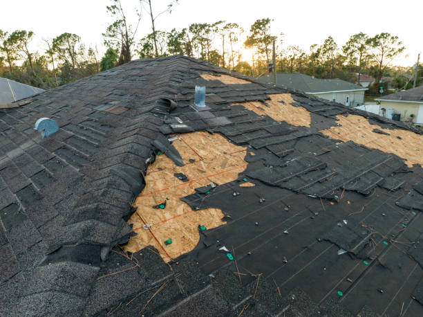 Best Roof Coating and Sealing  in Hildebran, NC